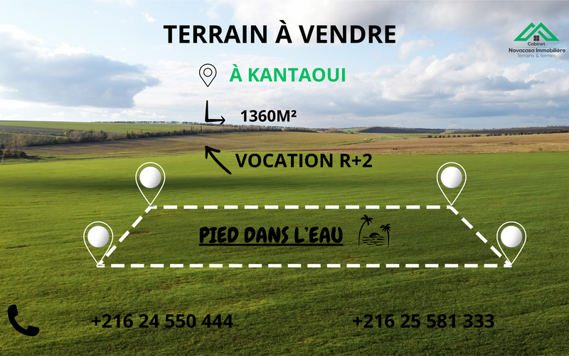 Terrain